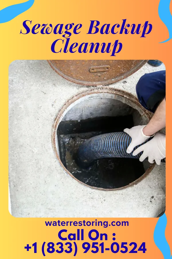 Sewage Backup Cleanup in Craig, MO